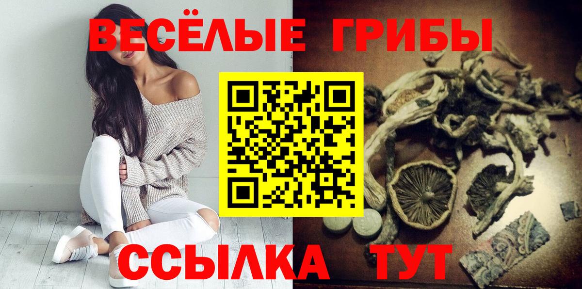 Псилоцибиновые грибы Magic Shrooms  Вход с VPN  Шахты  Галлюциногенные грибы Psilocybe 